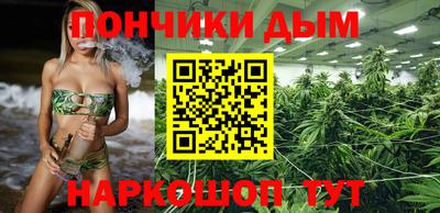 крисы Жуковский