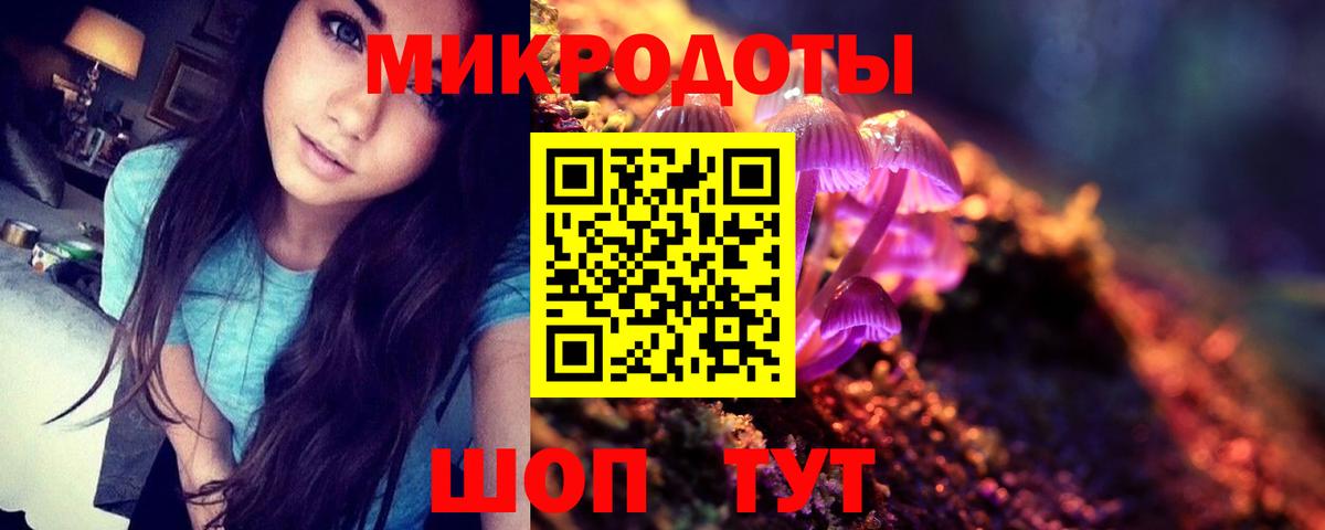 Ессентуки  Псилоцибиновые грибы Cubensis  Вход с VPN 
